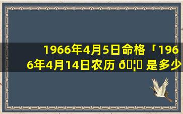 1966年4月5日命格「1966年4月14日农历 🦊 是多少」